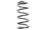 Sprężyna zawieszenia SPIDAN 55391 (Oś tylna)