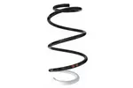 Sprężyna zawieszenia SPIDAN 87876 (Oś przednia)