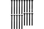 Zestaw śrub głowicy cylindrów VICTOR REINZ 14-10021-01