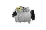 Alternator BV PSH 555.910.150.004