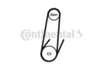 Pasek klinowy wielorowkowy CONTINENTAL CTAM 4PK592 ELAST