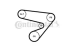 Pasek klinowy wielorowkowy CONTINENTAL CTAM 6PK2260 - fot.3