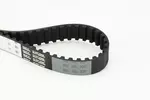 Pasek rozrządu CONTITECH CT883