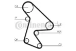 Rozrząd - zestaw paska CONTITECH CT652K1
