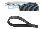 Pasek klinowy wielorowkowy DAYCO 15PK954HD
