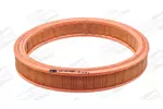Filtr powietrza CHAMPION CAF100169R
