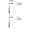 Przewody zapłonowe - zestaw BREMI 229AA200