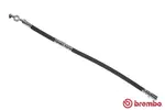 Przewód hamulcowy elastyczny BREMBO T 83 069