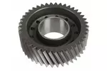 Koło zębate, wałek główny ZF 0073.301.222