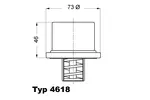 TERMOSTAT 75C BORGWARNER (WAHLER) 4618.75