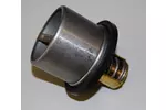 TERMOSTAT BORGWARNER (WAHLER) 4619.65D