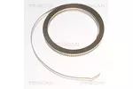 Opaska zaciskowa TRISCAN 2390003