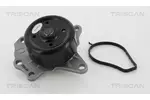 Pompa wody TRISCAN 8600 13041