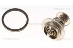 Sworzeń wahacza TRISCAN 8500 29557