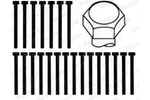 Zestaw śrub głowicy cylindrów PAYEN HBS016