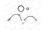 Zestaw uszczelek skrzyni korbowej PAYEN EE5242