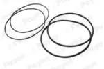 Zestaw uszczelek, tuleja cylindra PAYEN HL5378