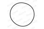 Zestaw uszczelek, tuleja cylindra PAYEN HL5383