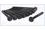 Zestaw śrub głowicy cylindrów AJUSA 81012600
