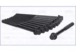 Zestaw śrub głowicy cylindrów AJUSA 81028700