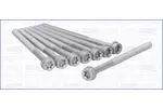 Zestaw śrub głowicy cylindrów AJUSA 81041500