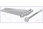 Zestaw śrub głowicy cylindrów AJUSA 81048900