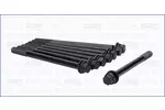 Zestaw śrub głowicy cylindrów AJUSA 81052600