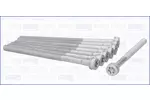 Zestaw śrub głowicy cylindrów AJUSA 81053200