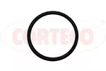 Uszczelka kolektora dolotowego CORTECO 026999H (Kolektor dolotowy)