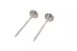 Zawór wydechowy CORTECO 551724B (Po stronie spalinowej)
