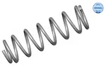 Sprężyna zawieszenia MEYLE 100 739 0011 (Oś tylna)