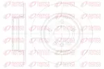 Tarcza hamulcowa REMSA 61084.00 (Oś tylna)