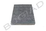 Filtr powietrza BUGIAD BSP20658