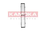 Filtr kabinowy KAMOKA F410601 - fot.2