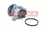 Pompa wody KAMOKA T0310