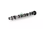 Wałek rozrządu SCHAEFFLER INA 428 0184 10
