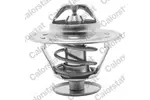 TERMOSTAT   ## CALORSTAT BY VERNET TH1515.76J
