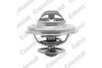TERMOSTAT   ## CALORSTAT BY VERNET TH5111.75J
