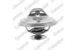 TERMOSTAT   ## CALORSTAT BY VERNET TH5973.71J