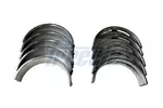 Zestaw łożysk wału korbowego FRECCIA MB19-103410
