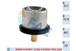Termostat układu chłodzenia FAE 5320275