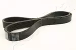 Pasek klinowy wielorowkowy ASHIKA 112-6PK1135