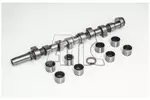 Zestaw wału rozrządu AMC 641812K