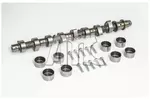 Zestaw wału rozrządu AMC 664861K