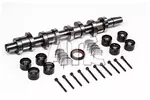 Zestaw wału rozrządu AMC 666865K