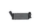 Chłodnica powietrza doładowującego - intercooler MAHLE CI 66 000S
