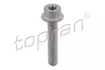 Śruba TOPRAN 411097