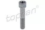 Śruba TOPRAN 411095
