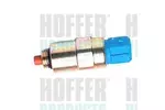 Odcięcie paliwa, układ wtryskowy HOFFER 8029052