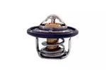 Termostat układu chłodzenia HOFFER 8192684